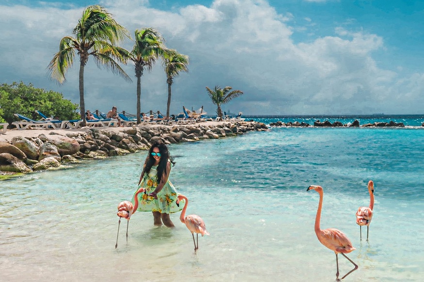 Aruba: An Island to Discover