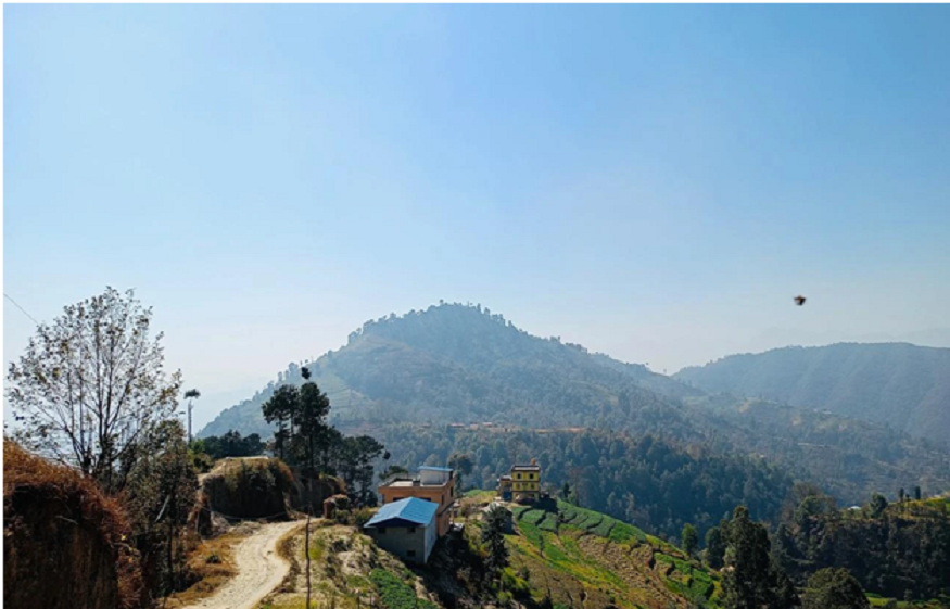 Buddha Trek